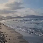 Virginia Porto Pino