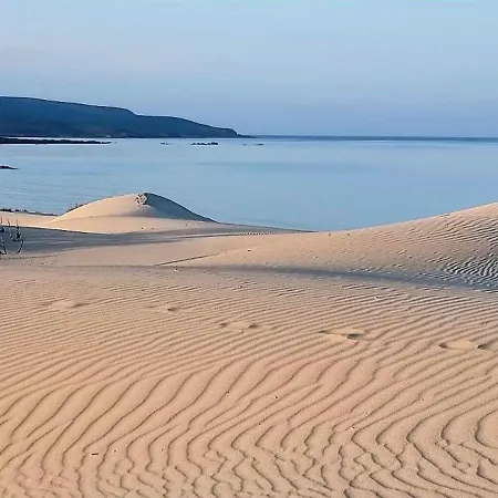 Virginia Porto Pino