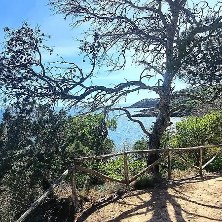 Virginia Porto Pino