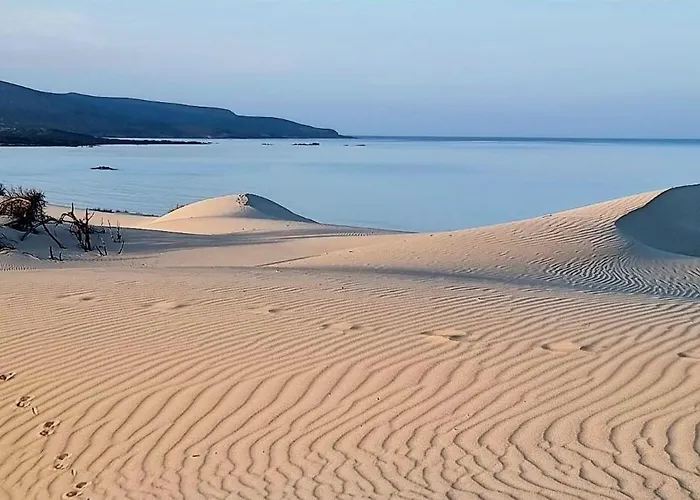 Virginia Porto Pino